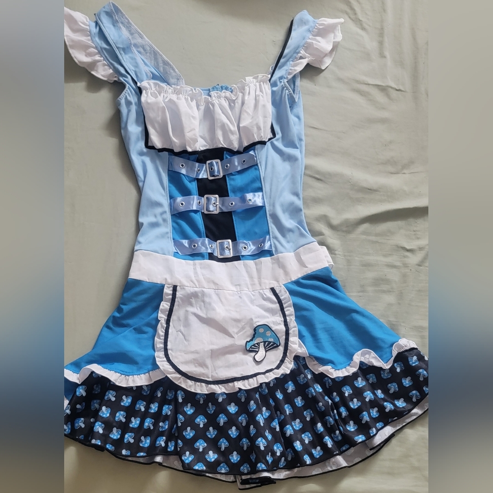 Alice in wonderland costume